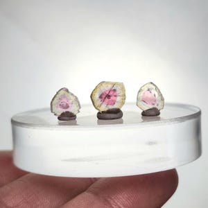 May include: Three small, flat, polished slices of watermelon tourmaline crystal, each featuring a vibrant pink centre surrounded by a pale green outer rim, standing upright on small dark grey bases on a clear circular display stand.