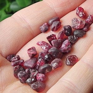 May include: A collection of small, rough, red ruby gemstones. The ruby crystals are various shapes and sizes.