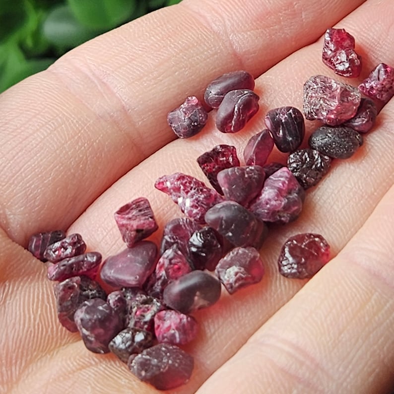 May include: A collection of small, rough, red ruby gemstones. The ruby crystals are various shapes and sizes.