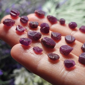 K&ouml;nnte beinhalten: Eine Sammlung kleiner, roher, violetter Rubinkristalle. Die Kristalle sind in verschiedenen Formen und Gr&ouml;&szlig;en und haben ein nat&uuml;rliches, unpoliertes Aussehen.