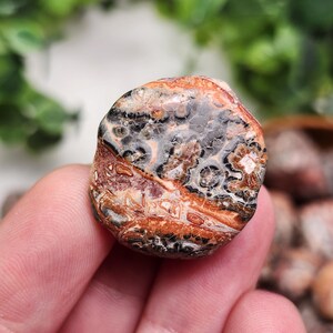 以下が含まれることがあります： 茶色、黒、グレー、オレンジの色合いが特徴的な、ユニークな模様の研磨された宝石。 丸みを帯びた形状と質感のある表面を持ち、天然の鉱物形成を示しています。 宝石は手で持たれています。