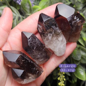 Puede incluir: Se muestran cuatro puntas de cristal de cuarzo ahumado X-Large, que van del marr&oacute;n oscuro al transl&uacute;cido. Los cristales tienen una textura natural y rugosa y se sostienen en una mano. La imagen incluye el texto "X-Large 30-40g".