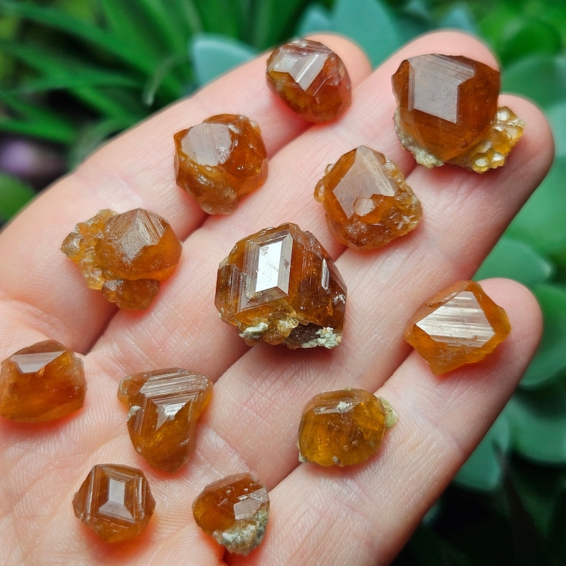 May include: A collection of raw, orange-brown hessonite garnet crystals. The crystals are faceted and have a glassy luster, with some attached to a matrix. The crystals are held in a hand, with a blurred green background.
