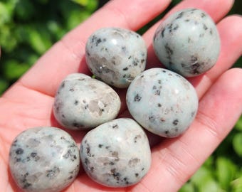 Kiwi Jasper Tumble Stone: Polished Sesame Jasper Crystal