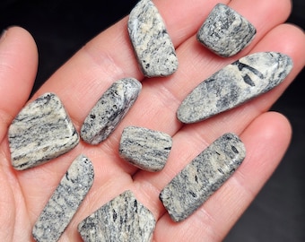 Gneiss Metamorphic Rock - 3 Unpolished Mineral Specimens
