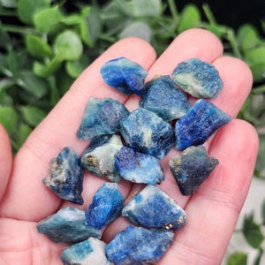 May include: A handful of raw, natural blue apatite crystals. The crystals vary in size and shape, displaying shades of deep blue, teal, and hints of white. The rough texture and natural form of the stones are visible.
