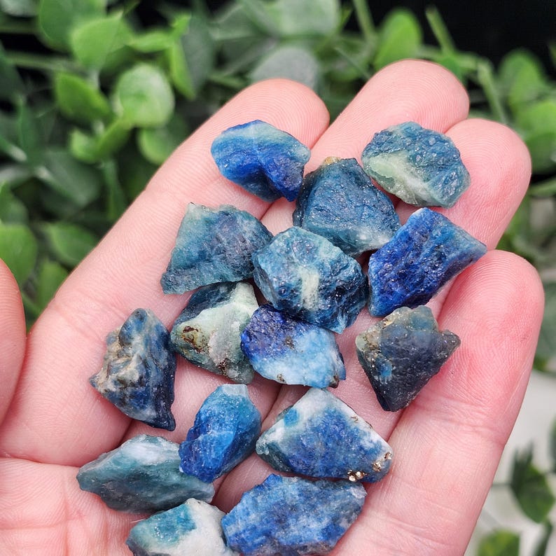 May include: A handful of raw, natural blue apatite crystals. The crystals vary in size and shape, displaying shades of deep blue, teal, and hints of white. The rough texture and natural form of the stones are visible.