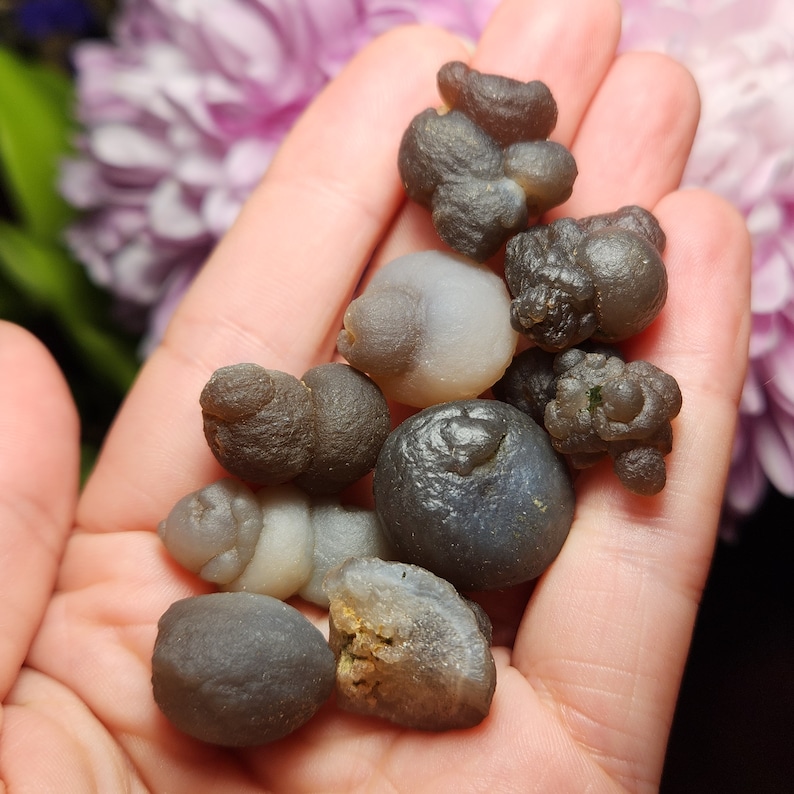 Puede incluir: Una colecci&oacute;n de ocho n&oacute;dulos de &aacute;gata grises y marrones, tambi&eacute;n conocidos como geodas de &aacute;gata, con diversas formas y texturas. Los n&oacute;dulos son lisos y tienen una apariencia natural y terrosa.