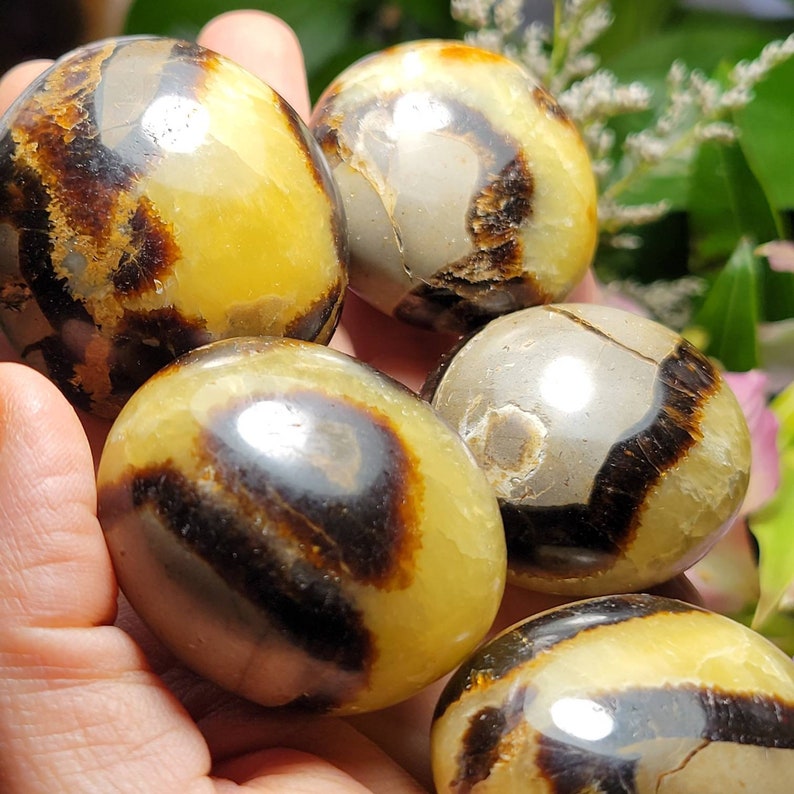 May include: A collection of four polished, rounded stones featuring a smooth, glossy surface. The stones display a color palette of warm yellow, cream, and deep brown, with distinct dark brown bands and organic patterns swirling across each piece.