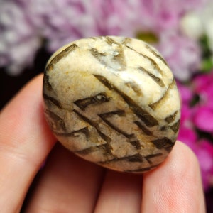 Zebradorite Crystal / Zebra Moonstone / Polished Crystal / Graphic Feldspar / Moonstone / Smoky Quartz / Zebra Feldspar / Graphic Moonstone image 4