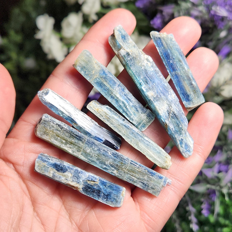 May include: A collection of blue kyanite crystal points, with a variety of shapes and sizes, displayed on a hand.