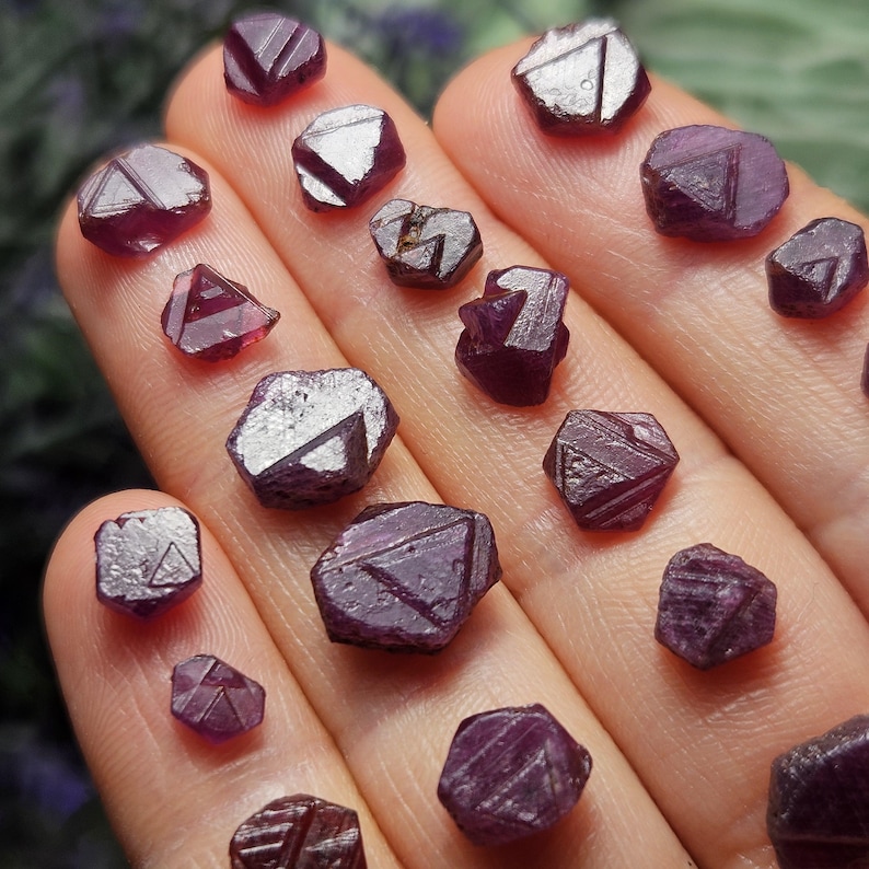 K&ouml;nnte beinhalten: Eine Sammlung von 16 tief roten Rubin-Kristallen mit einer facettierten, geometrischen Form. Die Kristalle sind auf einer Hand angeordnet und zeigen ihre einzigartigen Facetten und Farben.