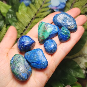 May include: A collection of polished azurite stones in varying shapes and sizes, showcasing deep blue hues with patches of green. The stones are held in an open hand, with a backdrop of green foliage and blue flowers.