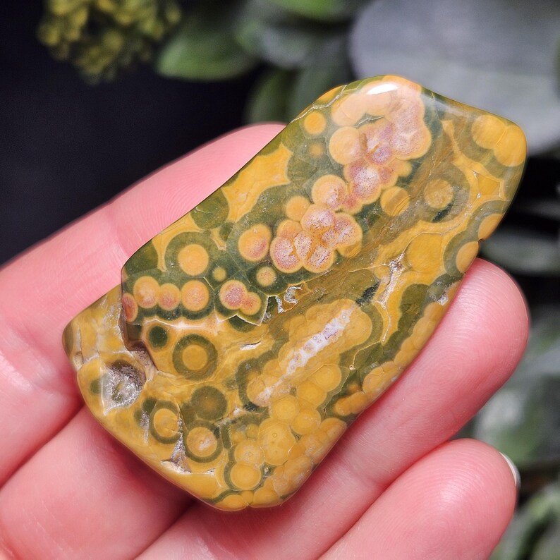 May include: A polished gemstone with a unique pattern of yellow, green, and brown circles and swirls. The stone has a smooth, rounded shape and is held in a hand. The gemstone is a natural, earthy item.