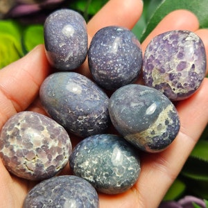 May include: A collection of seven tumbled purple and grey lemurian quartz stones. The stones are smooth and have a variety of patterns and textures.