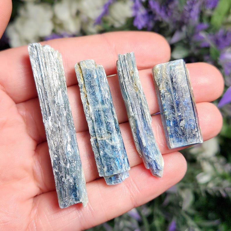 May include: Four blue kyanite crystal points, with a silvery sheen, are displayed on a hand. The crystals are various sizes and shapes, with some being more slender than others.