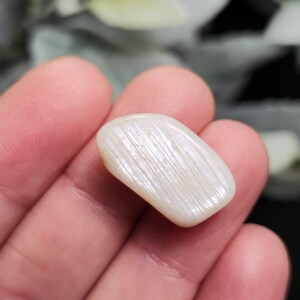 Puede incluir: Una gema pulida, de color blanquecino, con forma alargada. La superficie tiene un brillo sutil e iridiscente y una textura lineal. La piedra se sostiene en una mano. El color es blanco crema con destellos iridiscentes.