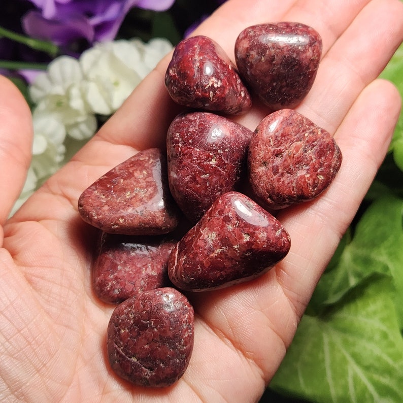 May include: A collection of seven red jasper tumbled stones. The stones are smooth and polished, with a variety of red and brown hues.