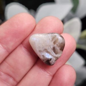 May include: A polished, heart-shaped gemstone with a mix of creamy white, light brown, and dark brown hues. The stone has a smooth, glossy surface and displays subtle iridescent flashes. The gemstone is held in a hand.