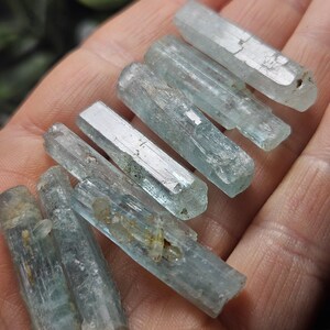 Puede incluir: Una colecci&oacute;n de espec&iacute;menes de cristal de aguamarina azul p&aacute;lido. Los cristales son alargados, con forma hexagonal y apariencia transl&uacute;cida. Algunos cristales tienen peque&ntilde;as inclusiones e imperfecciones. Los cristales se sostienen en una mano, mostrando su belleza natural.