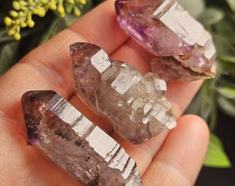 Shangaan Amethyst 3-4 cm, Chibuku Amethyst aus Simbabwe, Shangaan Quarz Kristalle