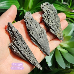 May include: Three pieces of black, raw, and unpolished black tourmaline crystals. The crystals are in the shape of a point and have a striated texture. The crystals are arranged in a hand, with the largest crystal in the centre.