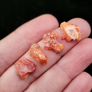 May include: Four pieces of raw carnelian gemstones in shades of orange and red are displayed. The stones have a rough, natural texture and varying shapes, with some showing internal patterns. The background is a dark, solid color.