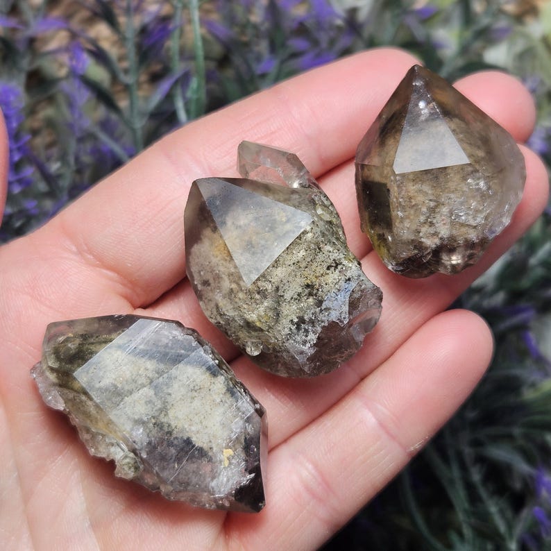May include: Three raw, smoky quartz crystals with natural, rough edges. The crystals vary in size and shape, displaying shades of brown and gray. The crystals are held in a hand, with a blurred background of green and purple foliage.