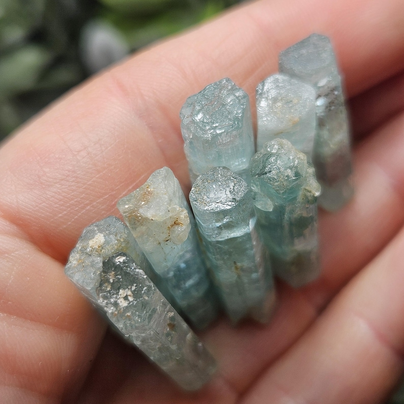 Puede incluir: Un conjunto de cristales de aguamarina en bruto, cada uno con un tono azul verdoso p&aacute;lido. Los cristales tienen varias formas y tama&ntilde;os, con una textura rugosa y natural. Los cristales se sostienen en una mano, mostrando su belleza natural.
