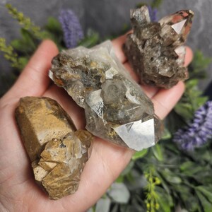 May include: A collection of raw quartz crystals in shades of brown, tan, and clear. The crystals have a rough, natural texture and varying shapes, with some featuring sharp, pointed terminations. The crystals are displayed against a blurred background.