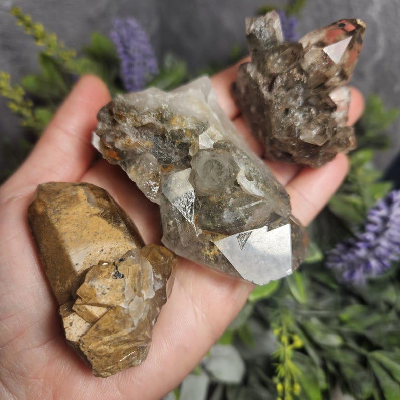 May include: A collection of raw quartz crystals in shades of brown, tan, and clear. The crystals have a rough, natural texture and varying shapes, with some featuring sharp, pointed terminations. The crystals are displayed against a blurred background.
