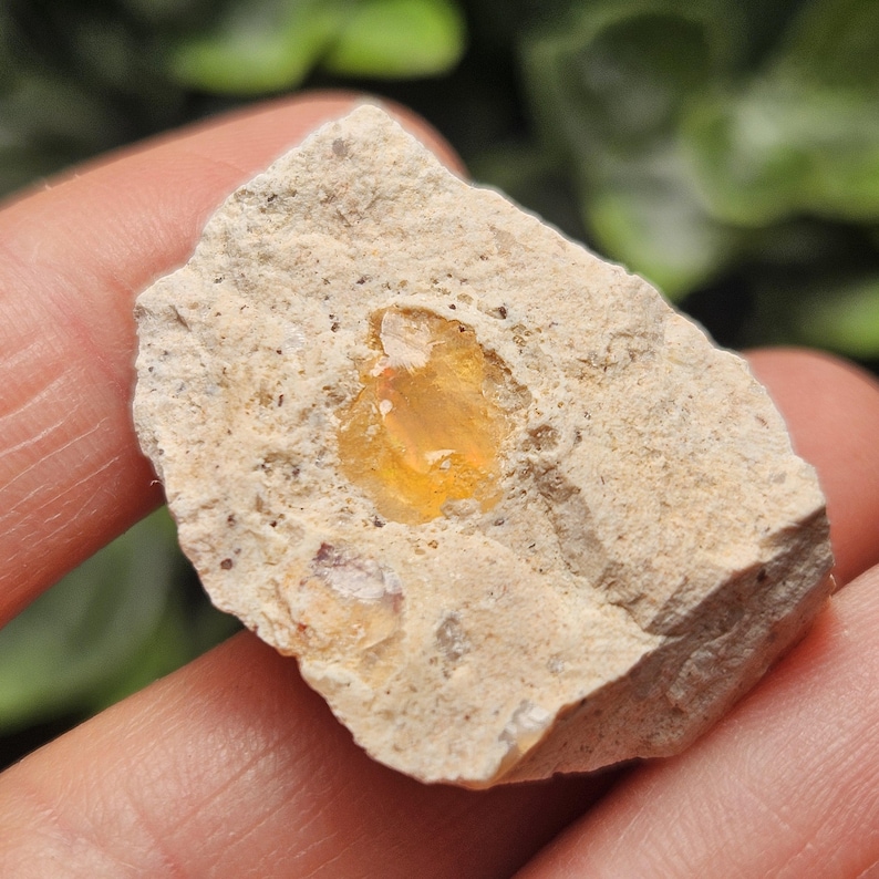 May include: A raw, unpolished stone specimen featuring a rough, beige-colored matrix rock with a central, translucent, honey-yellow gemstone inclusion. The mineral fragment displays a natural, irregular shape with a textured, sandy surface.