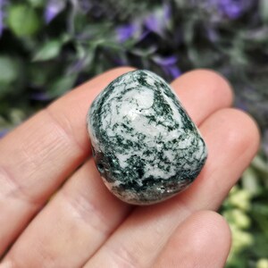 May include: A polished, tumbled stone featuring a smooth, rounded shape with a distinct marbled pattern of deep forest green inclusions set against a creamy white background, showcasing natural mineral variations and a glossy, reflective surface.