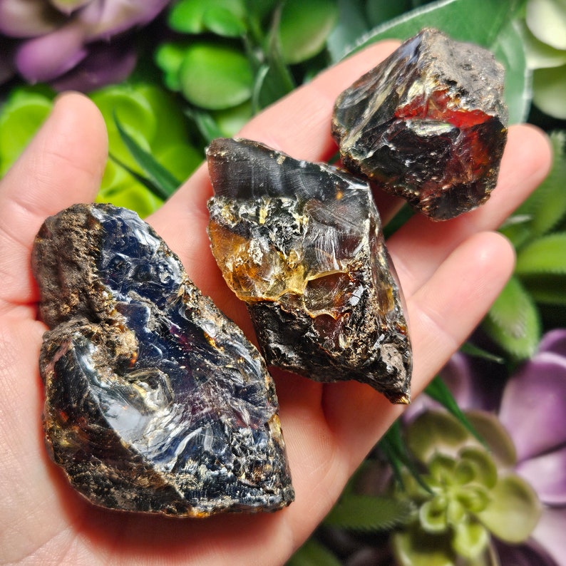 May include: Three pieces of raw, unpolished amber. The amber is a dark, rich brown color with streaks of gold and red. The amber is translucent and has a rough, natural texture.