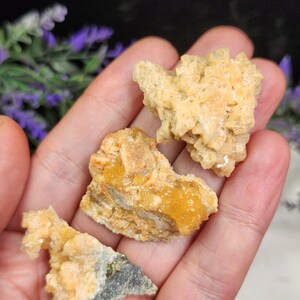 May include: Three pieces of raw, natural mineral specimens in shades of yellow and tan. The minerals have a crystalline structure and are held in a hand. The background includes purple flowers.