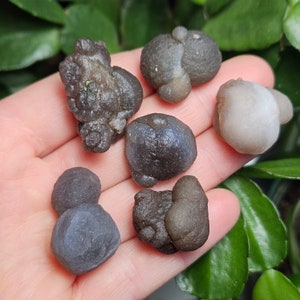 Puede incluir: Una colecci&oacute;n de seis n&oacute;dulos de &aacute;gata grises y marrones, tambi&eacute;n conocidos como c&uacute;mulos de geodas, con una variedad de formas y texturas. Los n&oacute;dulos son lisos y tienen una apariencia natural y terrosa.