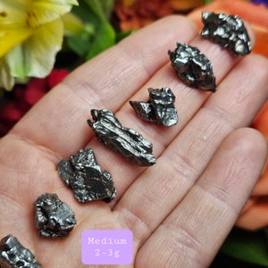 Meteorite Specimen / Campo Del Cielo / Argentinian Meteorite / Raw Meteorite / Meteorite / Natural Meteorite / Campo Del Cielo Meteorite Medium (2-3g)