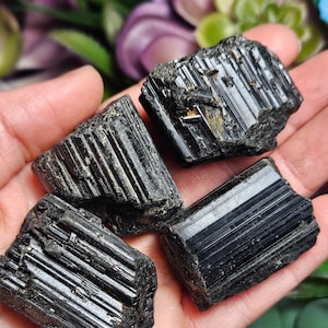 Peut inclure: Trois cristaux de tourmaline noire brute pr&eacute;sentant des stries verticales distinctes et une texture de surface sombre et brillante. Ces sp&eacute;cimens min&eacute;raux naturels ont des bords irr&eacute;guliers et une couleur noire opaque et profonde.
