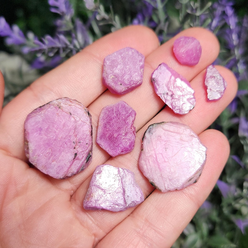 May include: A collection of eight pink ruby crystals of varying sizes and shapes. The crystals are raw and have a natural, rough texture.