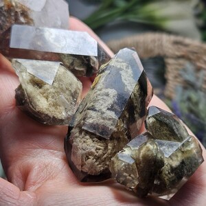 May include: A collection of smoky quartz crystals with varying shapes and sizes. The crystals display a range of colors, from clear to dark brown, with internal inclusions and textures. The crystals are held in a hand.