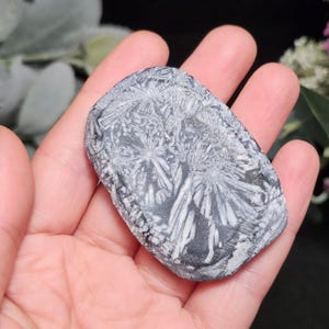 May include: A gray and white stone with a unique pattern resembling a floral design. The stone is held in a hand, showcasing its natural texture and color variations. The stone has a smooth, polished surface with intricate details.