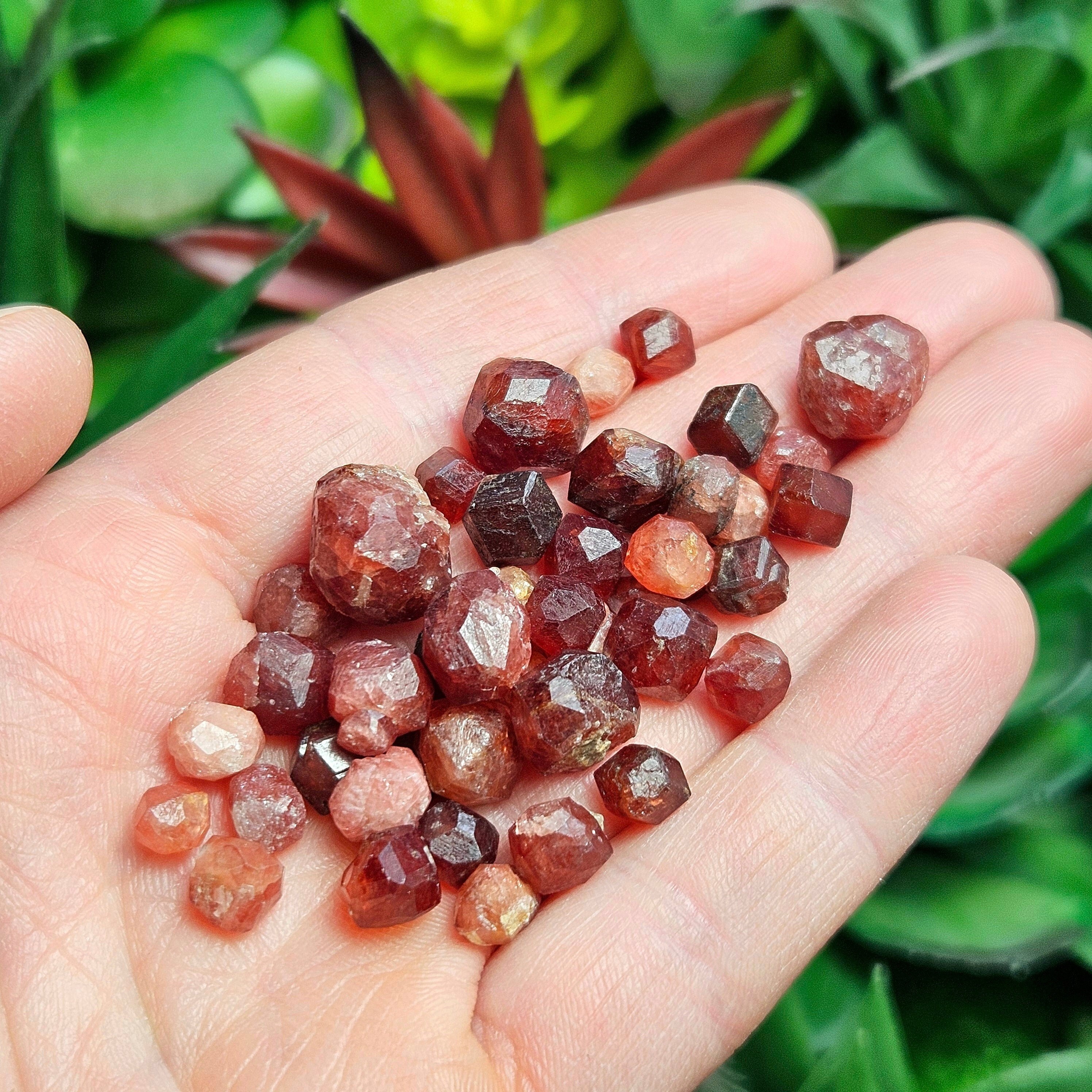 Strawberry Garnet - Spessartine Garnet - Dodecahedron Crystal