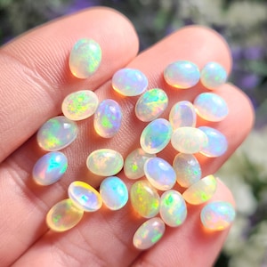 May include: A collection of oval-shaped opal gemstones in various shades of white, yellow, and green. The opals are iridescent and have a rainbow-like sheen.