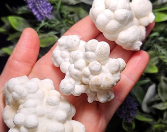 May include: Three clusters of white botryoidal mineral specimens with a bumpy, rounded surface texture. Each piece features a matte, chalky appearance with small, spherical formations grouped together in irregular, organic shapes.