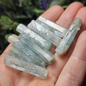 Puede incluir: Un conjunto de cristales de aguamarina en bruto, cada uno con un tono azul p&aacute;lido y una textura natural sin pulir. Los cristales se sostienen en una mano, mostrando sus formas prism&aacute;ticas alargadas y sutiles variaciones de color y claridad.