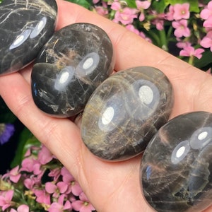 Black Moonstone / Moonstone Palm Stone / Polished Black Moonstone / Moonstone Crystal / Natural Black Moonstone / Tumbled Moonstone