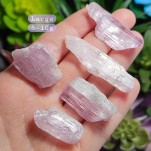 May include: Five large, translucent, pink and white,  faceted,  crystal points. The crystals are arranged in a hand. The text "Large 6-10g" is visible in the image.
