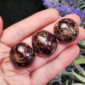 May include: Three polished, oval-shaped gemstones in varying shades of deep red and brown are displayed. The stones have a glossy finish with intricate, web-like patterns. The gemstones are held in an open hand, with a blurred background of purple flowers.