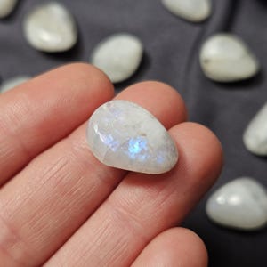 May include: A polished, oval moonstone displaying iridescent blue and white hues. The gemstone is held in a hand, with other moonstones in the background. The stones have a smooth, rounded form. The background is a dark grey.