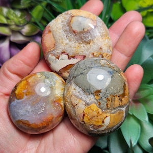 Ibis Jasper Crystal - Polished Ibis Jasper - Ibis Jasper Palm Stone - Brecciated Jasper - Ibis Jasper Stone - Ibis Jasper Specimen